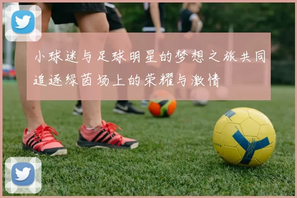 小球迷与足球明星的梦想之旅共同追逐绿茵场上的荣耀与激情
