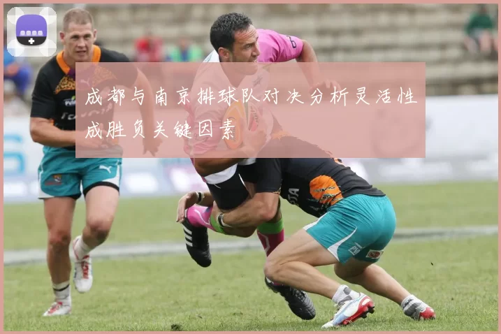 成都与南京排球队对决分析灵活性成胜负关键因素