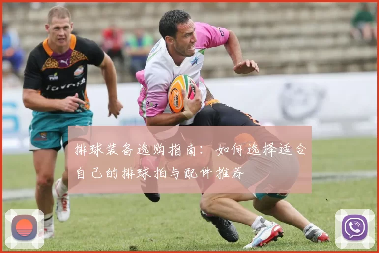 排球装备选购指南：如何选择适合自己的排球拍与配件推荐
