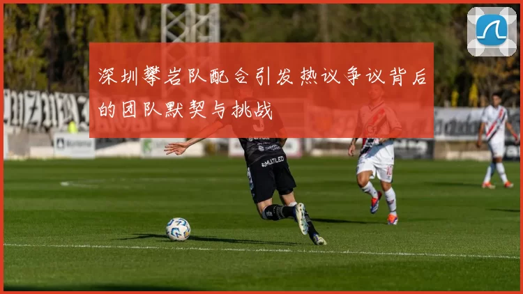 深圳攀岩队配合引发热议争议背后的团队默契与挑战