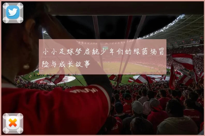 小小足球梦启航少年们的绿茵场冒险与成长故事