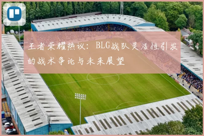 王者荣耀热议：BLG战队灵活性引发的战术争论与未来展望