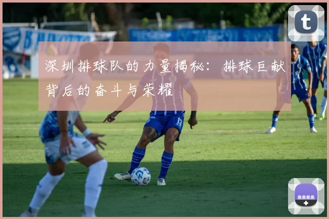 深圳排球队的力量揭秘：排球巨献背后的奋斗与荣耀