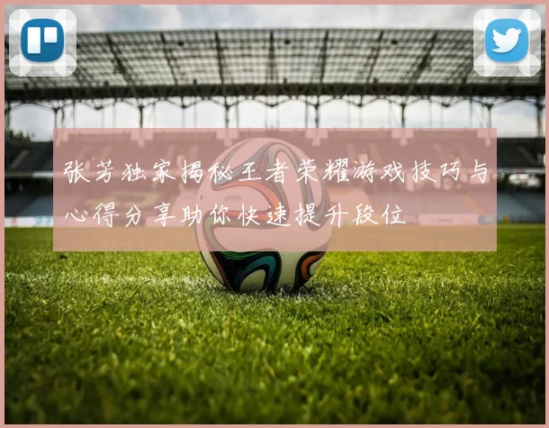 张芳独家揭秘王者荣耀游戏技巧与心得分享助你快速提升段位