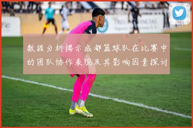 数据分析揭示成都篮球队在比赛中的团队协作表现及其影响因素探讨