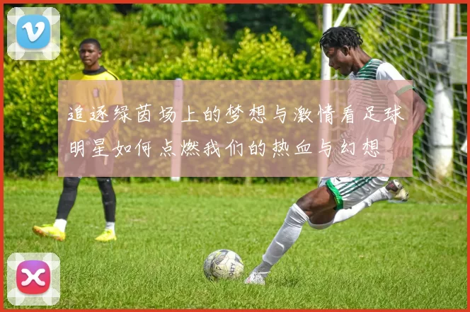 追逐绿茵场上的梦想与激情看足球明星如何点燃我们的热血与幻想
