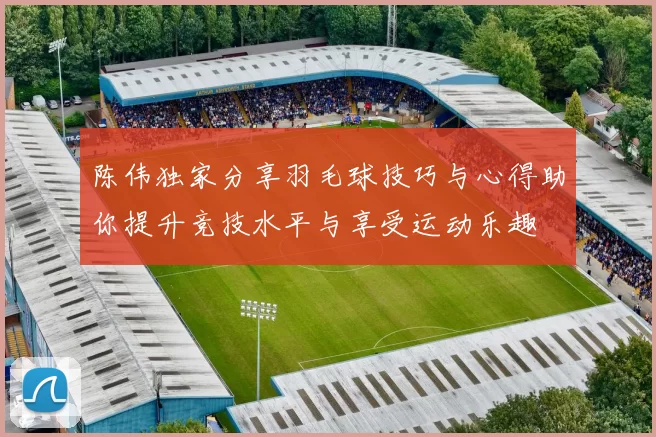 陈伟独家分享羽毛球技巧与心得助你提升竞技水平与享受运动乐趣