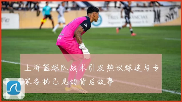 上海篮球队战术引发热议球迷与专家各执己见的背后故事