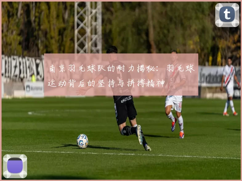 南京羽毛球队的耐力揭秘：羽毛球运动背后的坚持与拼搏精神