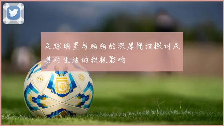足球明星与狗狗的深厚情谊探讨及其对生活的积极影响