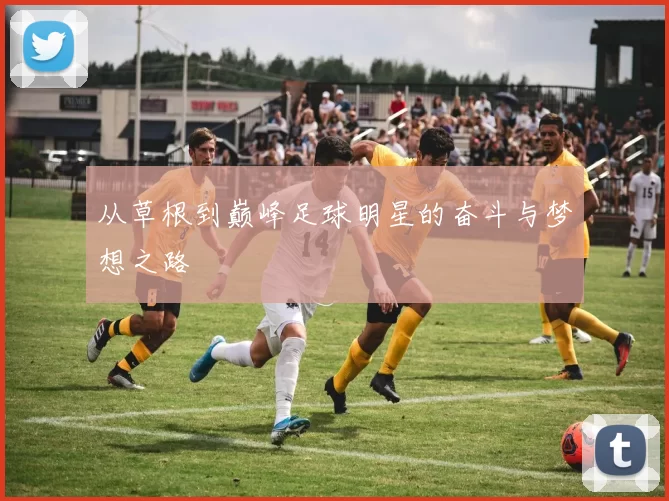 从草根到巅峰足球明星的奋斗与梦想之路