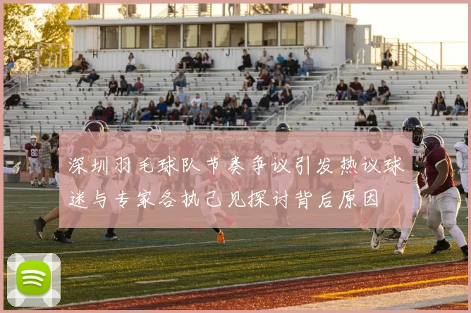 深圳羽毛球队节奏争议引发热议球迷与专家各执己见探讨背后原因