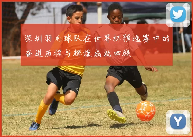 深圳羽毛球队在世界杯预选赛中的奋进历程与辉煌成就回顾