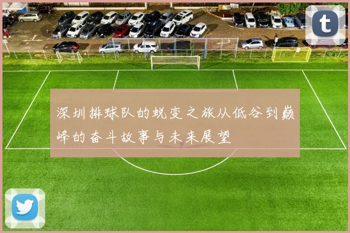 深圳排球队的蜕变之旅从低谷到巅峰的奋斗故事与未来展望
