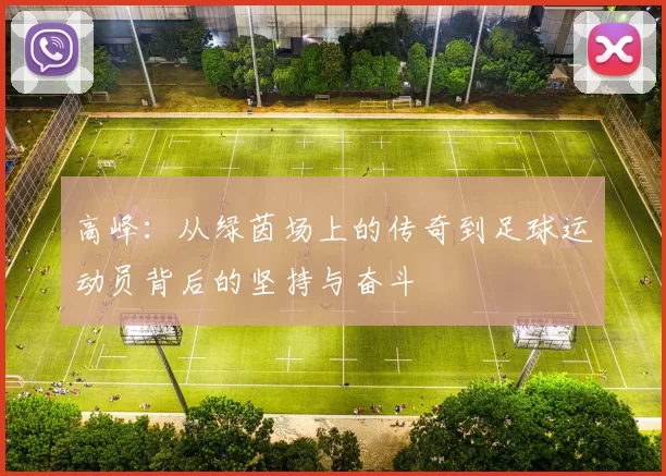 高峰：从绿茵场上的传奇到足球运动员背后的坚持与奋斗