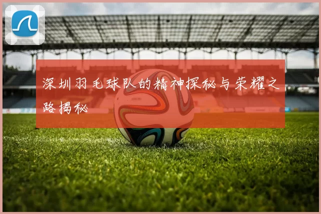 深圳羽毛球队的精神探秘与荣耀之路揭秘
